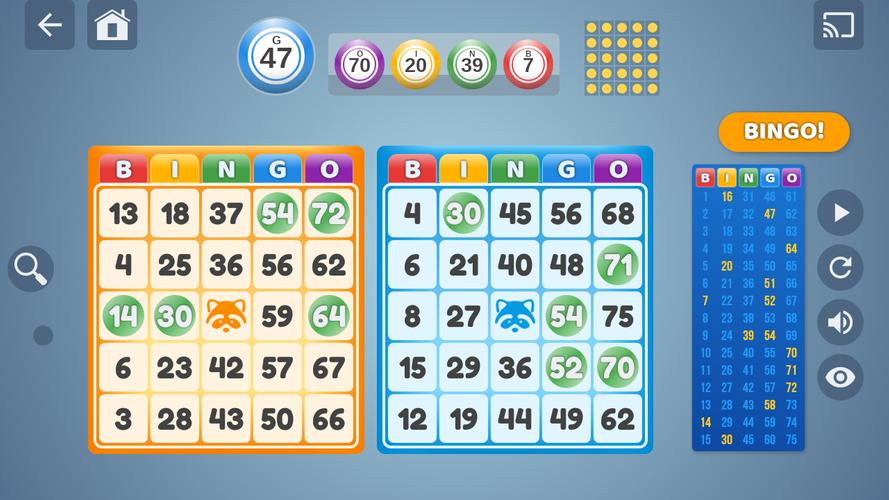 Bingo Set Screenshot 1