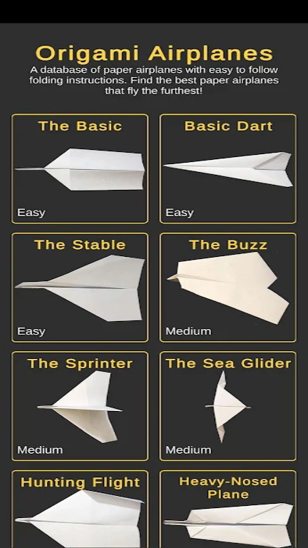 Origami paper airplane Screenshot 2