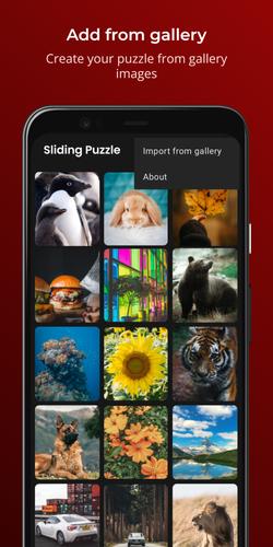 Sliding Puzzle ภาพหน้าจอ 4