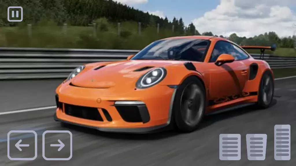 Racing Porsche Carrera 911 GT3 Screenshot 1