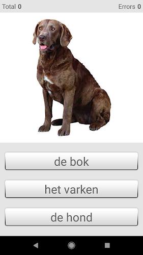 Learn Dutch words (Nederlands) Screenshot 4