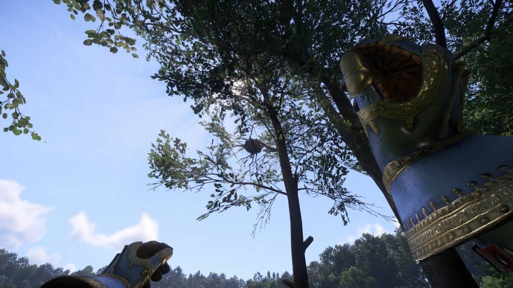 Kingdom Come Deliverance 2で鳥の巣に石を投げる様子
