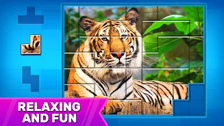 Puzzles: Jigsaw Puzzle Games应用截图第1张