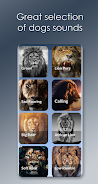 Lion Sounds ภาพหน้าจอ 2