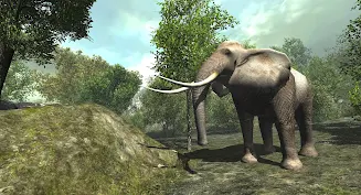 VR ZOO Safari Park Animal Game应用截图第4张