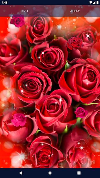 Red Rose Live Wallpaper स्क्रीनशॉट 2