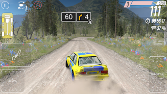 Schermata CarX Rally 1