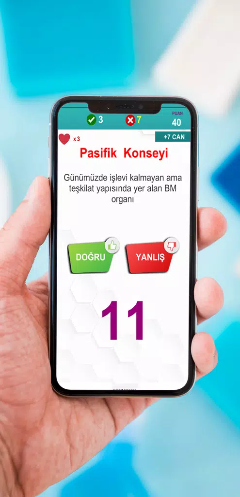 Bilgiseli Screenshot 2