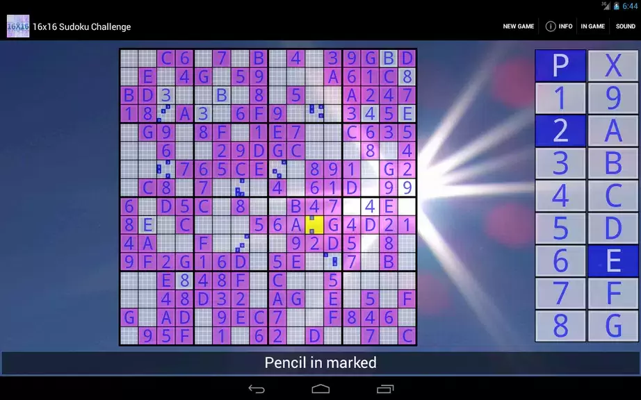 16x16 Sudoku Challenge HD Скриншот 3