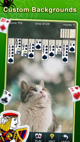 Spider Solitaire Ekran Görüntüsü 3