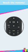 Remote for Hisense Smart TV Schermafbeelding 1