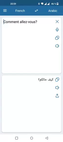 French Arabic Translator Screenshot 2