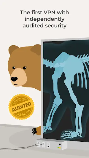 TunnelBear VPN Screenshot 4