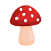 Shroomify - USA Mushroom ID