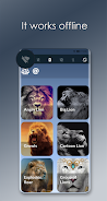 Lion Sounds ภาพหน้าจอ 1