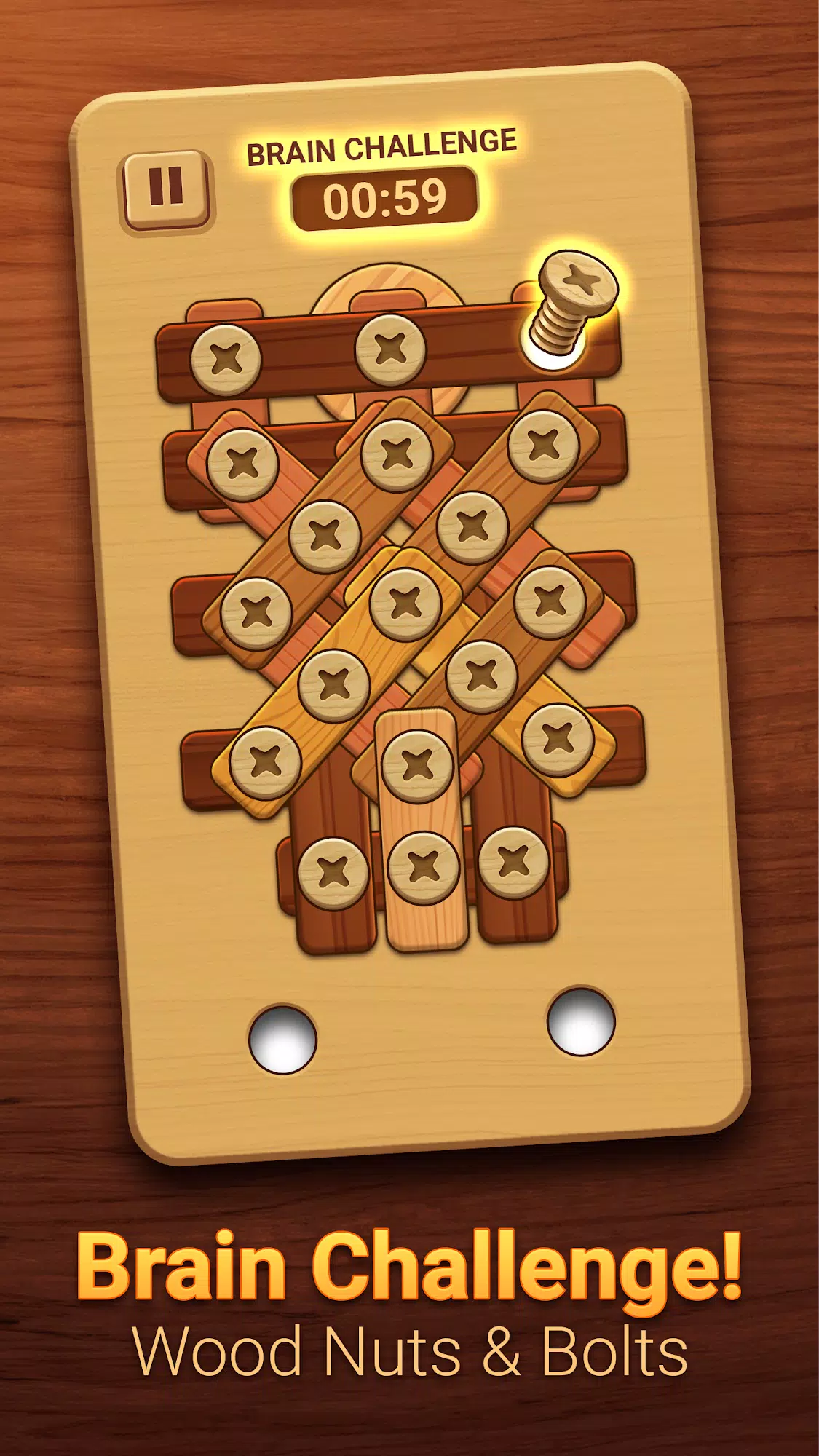 Woodle - Wood Screw Puzzle应用截图第3张