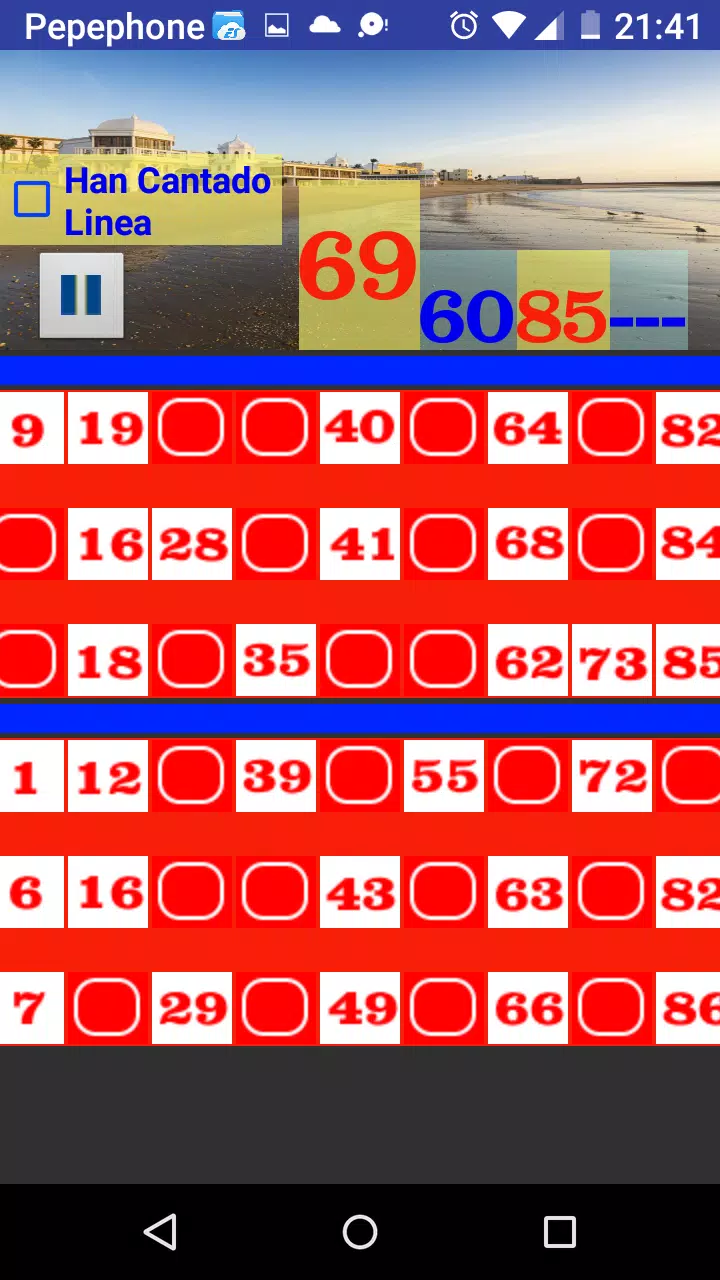 Bingo Caletero Screenshot 3