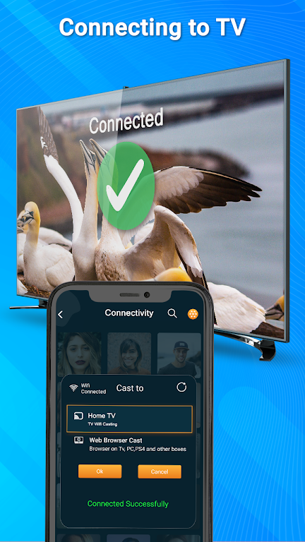 Miracast: Screen Mirroring App ภาพหน้าจอ 2