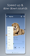 Lion Sounds ภาพหน้าจอ 4