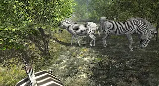 VR ZOO Safari Park Animal Game应用截图第1张