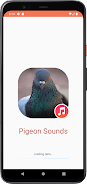 Pigeon Sounds Скриншот 1