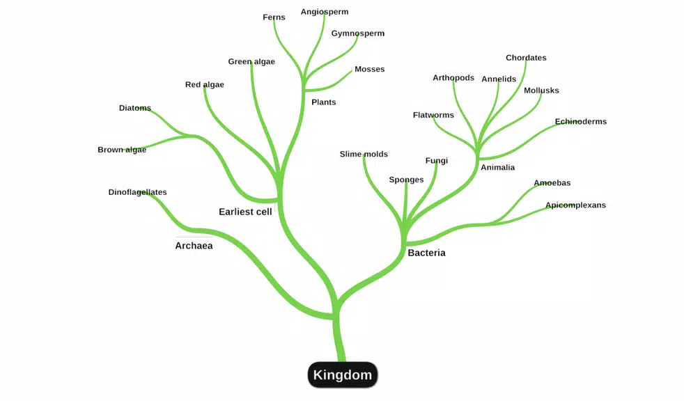 miMind - Easy Mind Mapping Screenshot 2