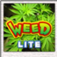 Weed Lite