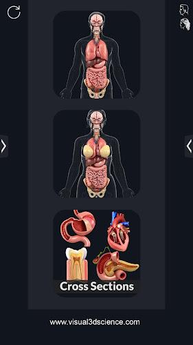 My Organs Anatomy Captura de tela 1