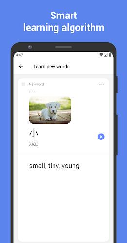 Learn Chinese with flashcards! スクリーンショット 1
