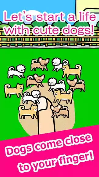 Play with Dogs - relaxing game 스크린샷 1