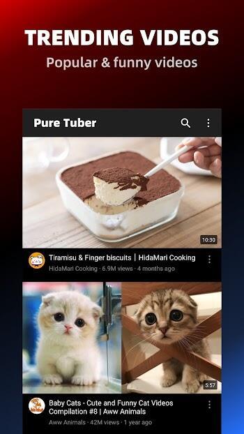 Pure Tuber: vídeos e músicas Captura de tela 1