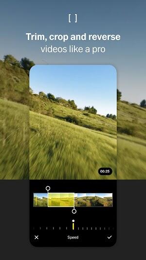 VSCO: Photo & Video Editor Screenshot 4