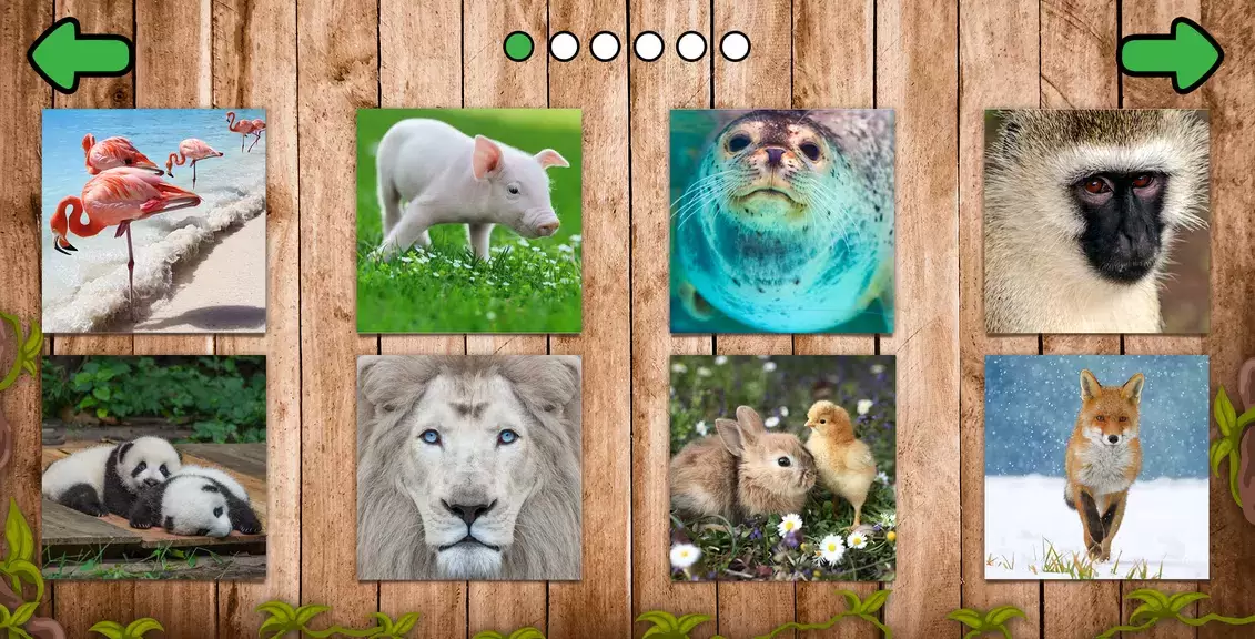 Animal puzzle games offline应用截图第2张