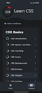 Learn CSS ภาพหน้าจอ 1