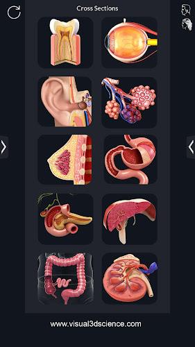 My Organs Anatomy Captura de tela 2