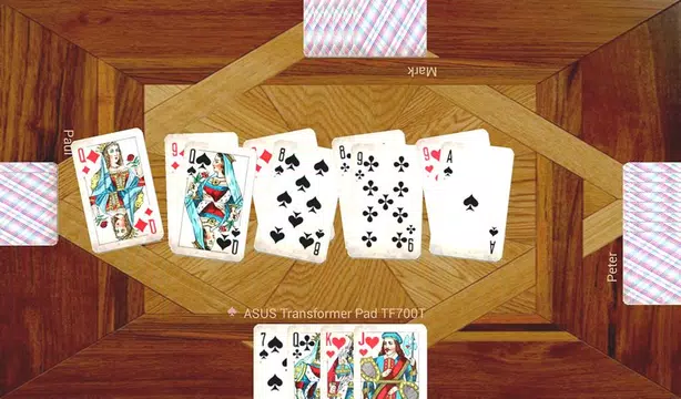 Durak plus 스크린샷 3