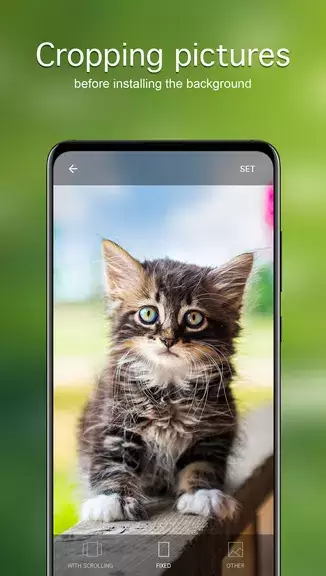 Cat Wallpapers & Cute Kittens Screenshot 4