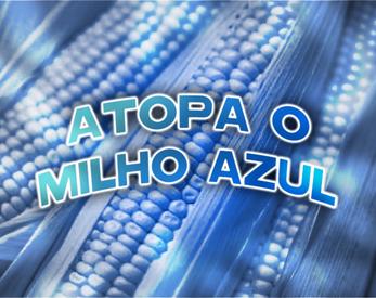 Atopa o Milho Azul應用截圖第1張