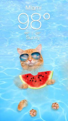 Weather Kitty - App & Widget Ekran Görüntüsü 2