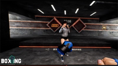 Boxing Coach Screenshot 2