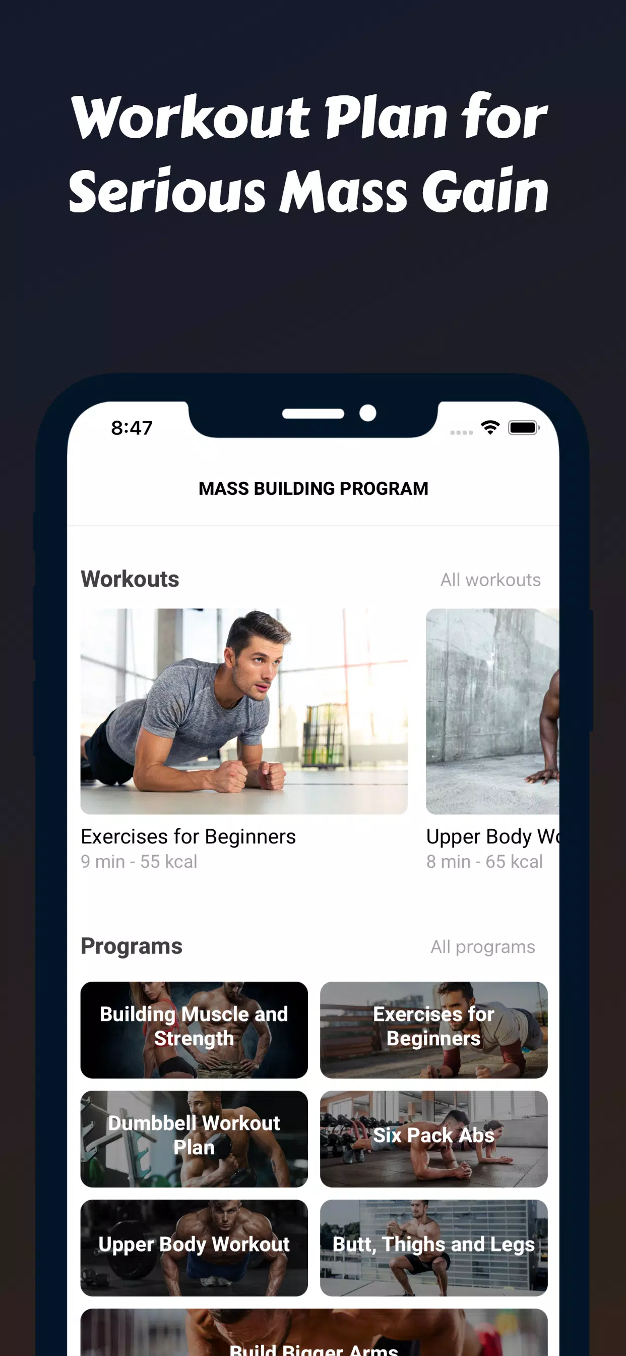 Mass Building Program Schermafbeelding 2