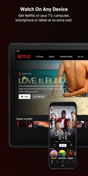 Netflix Premium Unlocked Screenshot 2