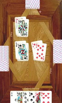 Durak plus应用截图第1张