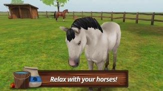 HorseWorld - My riding horse Screenshot 3