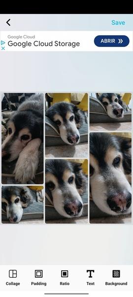 PicsMaster Photo Editor Pro スクリーンショット 3