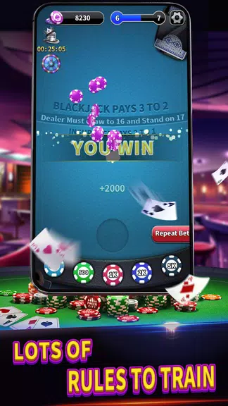 BlackJack 21 lite offline game স্ক্রিনশট 4