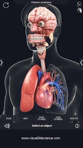 My Organs Anatomy Captura de tela 4