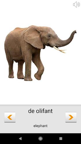 Learn Dutch words (Nederlands) Screenshot 3