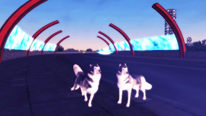 Husky Simulator Tangkapan skrin 2