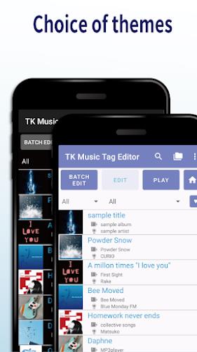 TK Music Tag Editor Скриншот 3